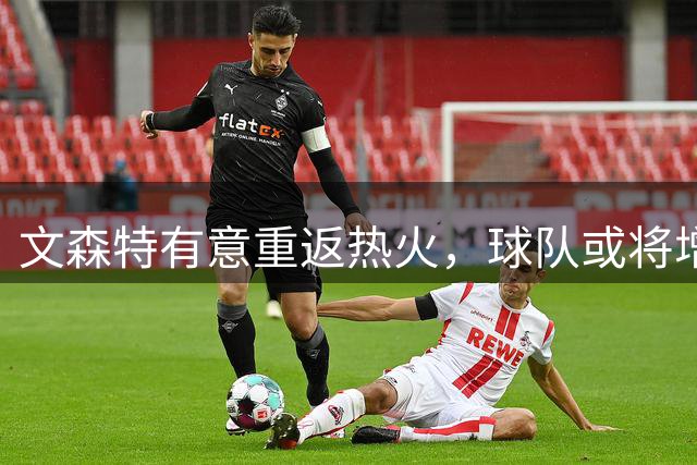 文森特有意重返热火，球队或将增强后卫实力